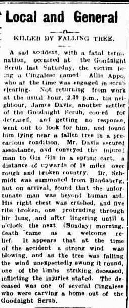 Allis Appoo newspaper clipping