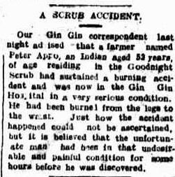 Peter Appoo newspaper